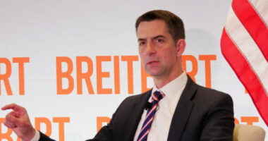 Exclusive: Tom Cotton on His Bill to Block Pharmaceuticals Linked to CCP