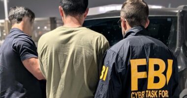 FBI extradites Chinese hacker accused of stealing COVID-19 research