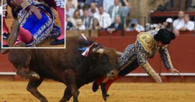 Famed Spanish matador suffers humiliating injury in bullfight blunder