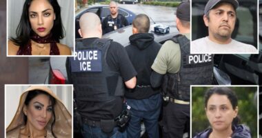 Families of Iran's elite rounded up by ICE as lavish U.S. lives end