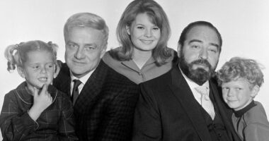 Family Affair child star Johnny Whitaker surfaces at 66... see him now