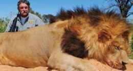 Family of hunter killed by elephants say how they learned of his death