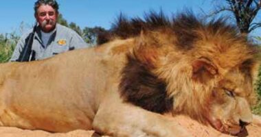 Family of hunter killed by elephants say how they learned of his death