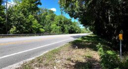 Family seeks answers after mother killed walking on State Road 46 with baby