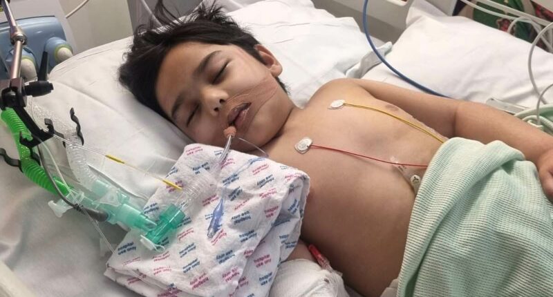 Family's agony at litany of failings over 5-year-old's hospital death