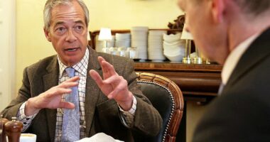 Farage 'to face down riots, protests and strikes to cut welfare bill'