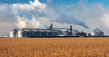 Farm Bill Amendment Pits Big Refiners Against Smaller Operations