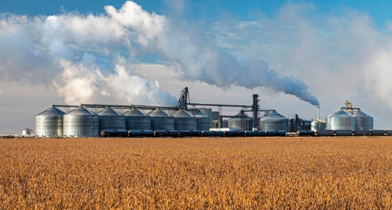 Farm Bill Amendment Pits Big Refiners Against Smaller Operations