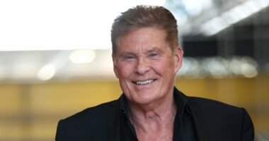 Fears for frail David Hasselhoff as he can't STAND without walker