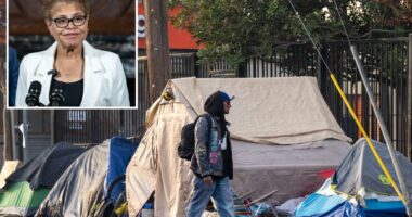 Fed up Venice Beach residents mock City's homeless cleanup charade