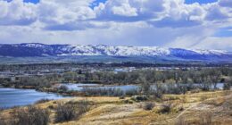 Feud erupts after man tries to sell his neighbor's horses