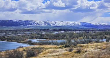 Feud erupts after man tries to sell his neighbor's horses