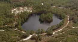 Fight over toll road through Split Oak Forest continues as activists keep voicing concerns