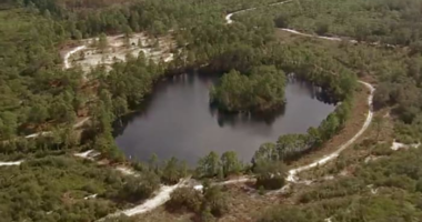 Fight over toll road through Split Oak Forest continues as activists keep voicing concerns