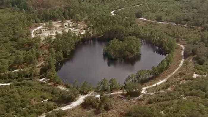 Fight over toll road through Split Oak Forest continues as activists keep voicing concerns