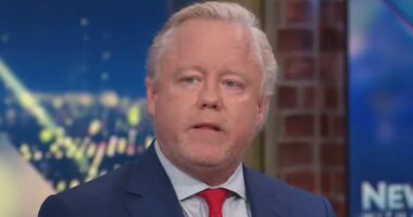 Financier shocks CNN panel by sharing shock conspiracy theory about Pope Leo and Obama: 'Connect the dots'