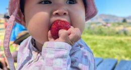 A mild illness after a family trip to New Zealand quickly spiralled into something far more sinister for one Sydney family, as a seemingly harmless cold led to a diagnosis so rare and aggressive it would change their daughter's life forever