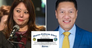 Fiona Ma took money from Chinese school CEO probed for fraud