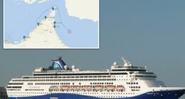 First cruise ship sets sail through Strait of Hormuz after weeks-long closure by Iranian regime