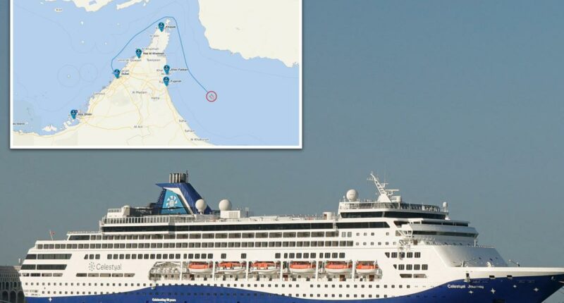 First cruise ship sets sail through Strait of Hormuz after weeks-long closure by Iranian regime