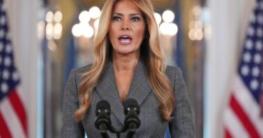 First lady Melania Trump slams "baseless lies" tying her to Jeffrey Epstein