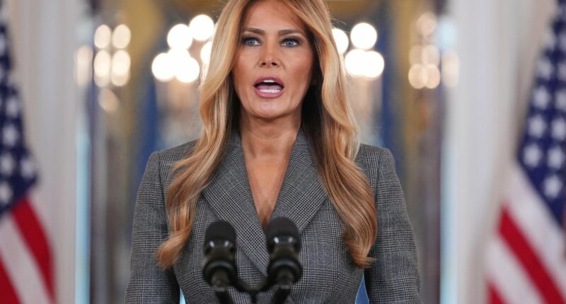 First lady Melania Trump slams "baseless lies" tying her to Jeffrey Epstein