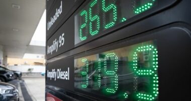 Generic petrol station in Sydney. Fuel, diesel, unleaded, oil, service station, prices, inflation, war, conflict, Iran. Ampol Petrol Station Chatswood East. Friday 27th March 2026 AFR photo Louie Douvis