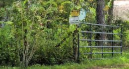 Flagler County deputy in hot water after 11-year-old grazed by bullet