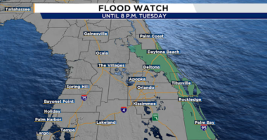 Flood watch issued for parts of Central Florida