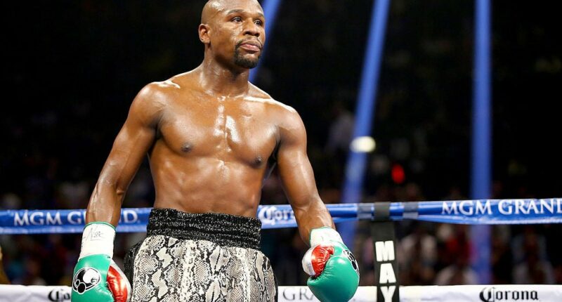 Celebrity Net Worth logo