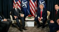 Flustered NATO chief squirms to explain why he called Trump 'Daddy' as he reveals closed-door plea to the President on staying in the alliance