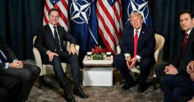 Flustered NATO chief squirms to explain why he called Trump 'Daddy' as he reveals closed-door plea to the President on staying in the alliance