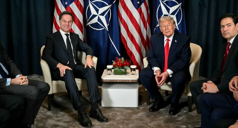Flustered NATO chief squirms to explain why he called Trump 'Daddy' as he reveals closed-door plea to the President on staying in the alliance