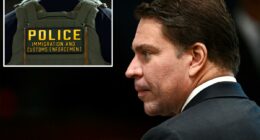 Former Brazilian spy chief who fled country following conviction arrested by ICE agents in the US