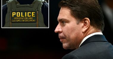 Former Brazilian spy chief who fled country following conviction arrested by ICE agents in the US