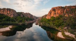 Four face charges of stealing crocodile eggs in Kakadu