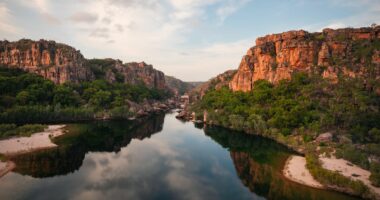 Four face charges of stealing crocodile eggs in Kakadu
