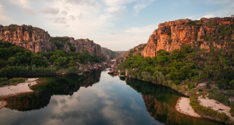 Four face charges of stealing crocodile eggs in Kakadu