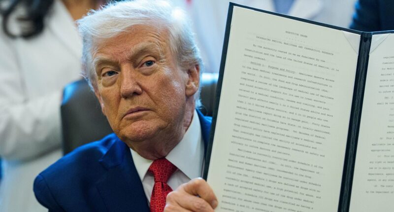 Four stocks blazing higher as Trump readies weird executive order