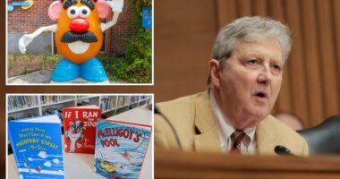 GOP senator John Kennedy claims modern Dems wouldn't vote for Bill Clinton as he fries 'loon-wing' for woke Mr. Potato Head