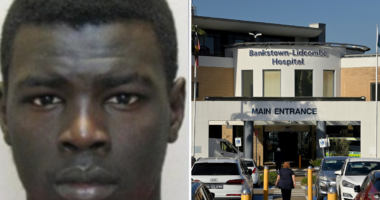 Gang rapist back behind bars after detention escape