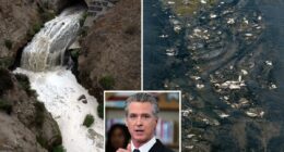 Gavin Newsom called to clean up pollution coming from Tijuana River