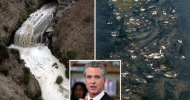 Gavin Newsom called to clean up pollution coming from Tijuana River
