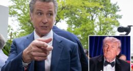 Gavin Newsom issues awkward statement on WHCD shooting -- hours after trolling event