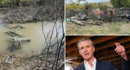 Gavin Newsom's own 'backyard' trashed by homeless river camps
