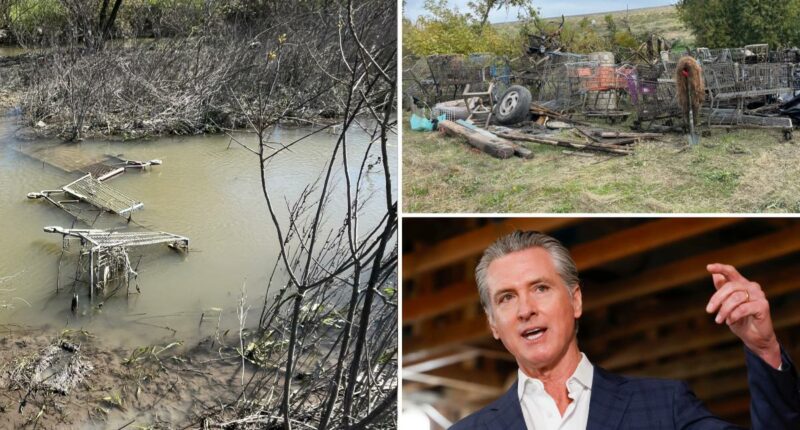 Gavin Newsom's own 'backyard' trashed by homeless river camps