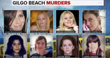 Gilgo Beach suspected serial killer Rex Heuermann expected to plead guilty to killings of 8 women