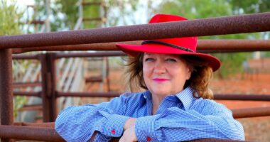 Gina Rinehart erupts over Ben Roberts-Smith arrest