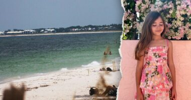 Girl who survived brutal Florida shark attack returns to waters where it happened: 'She's fearless'