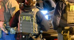 Global task force dismantles 'pig-butchering' crypto fraud rings preying on Americans